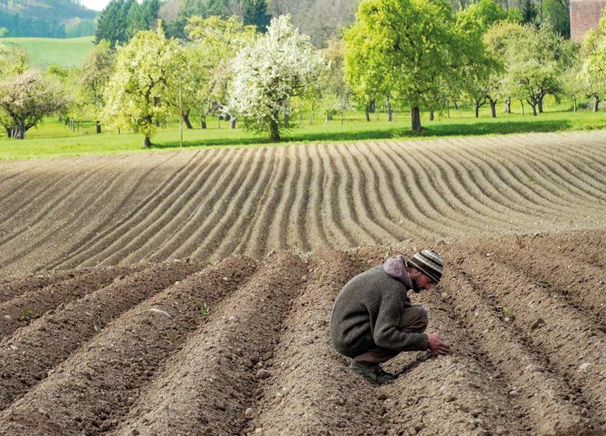 Firt results for the opening film of our RESOURCES series: UNSER BODEN-UNSER ERBE